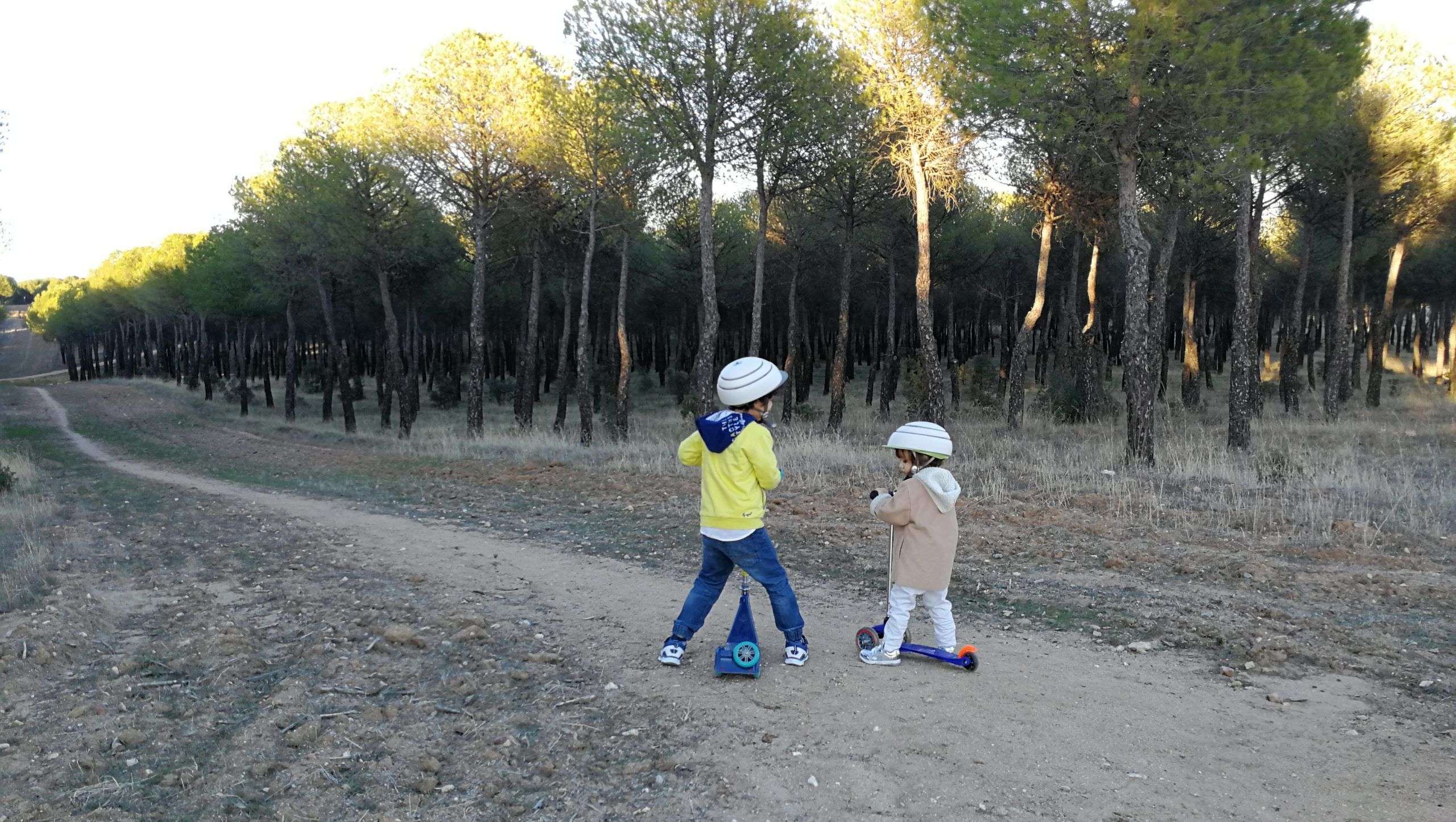 como se el lenguaje de amor de mi hijo