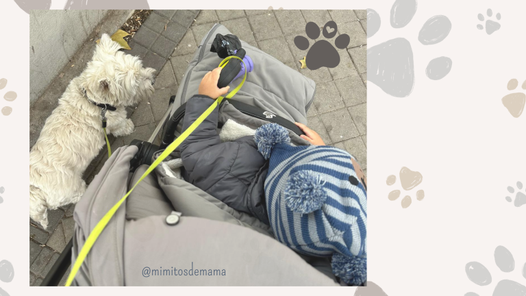 Cuando un perrito se va